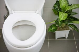 White toilet with seat in a clean bathroom next to a potted green plant on the floor.